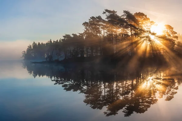Потрясающий Восход Солнца Сквозь Деревья Размышляет Неподвижном Озере — стоковое фото