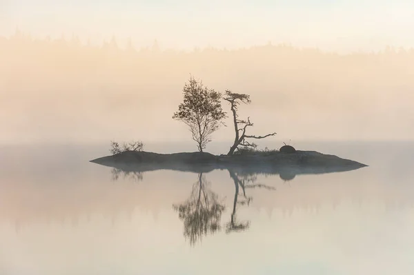 Wyspa Drzewami Mglistym Spokojnym Jeziorze — Zdjęcie stockowe