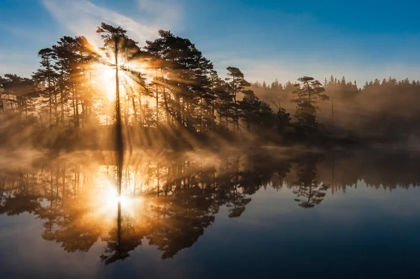 Impresionante Amanecer Través Los Árboles Reflejado Lago Todavía —  Fotos de Stock