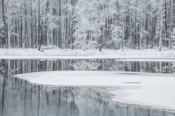 Winterlandschaft Offenen Fluss Schweden — Stockfoto