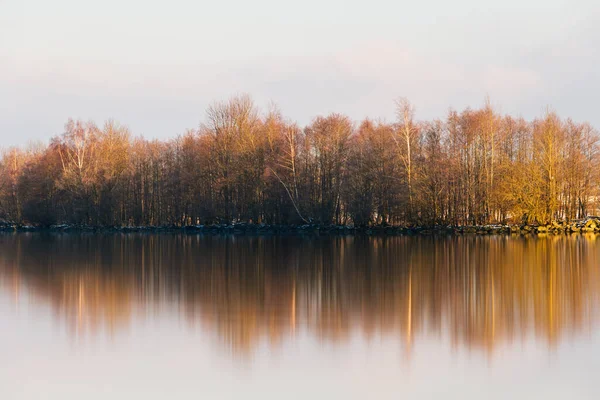 Trees Riverbank Reflected Water — Stock Photo, Image