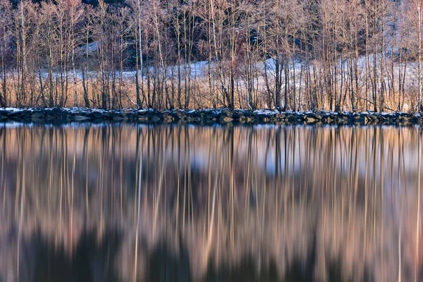 Bomen Rivieroever Weerspiegeld Stilstaand Water — Stockfoto