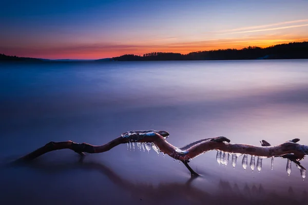 Παγοκρύσταλλοι Κλαδί Δέντρου Ξαπλωμένοι Στην Παραλία Την Αυγή — Φωτογραφία Αρχείου