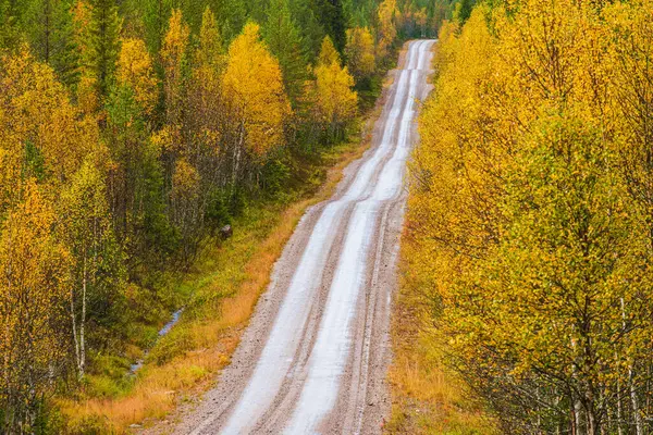 Cesta Lesem Dalarna Švédsko — Stock fotografie