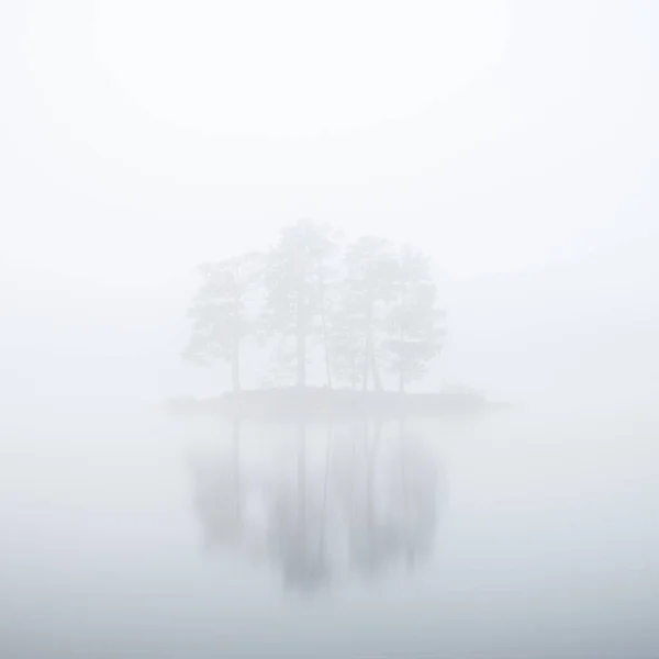 Reflexion Der Bäume Auf Nebliger Insel — Stockfoto