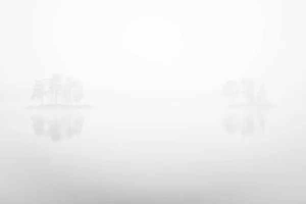 Alberi Nella Nebbia Dalarna Svezia — Foto Stock