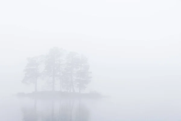 Eiland Met Bomen Een Mistig Meer — Stockfoto
