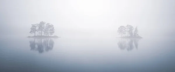 Reflexion Der Bäume Auf Nebliger Insel — Stockfoto
