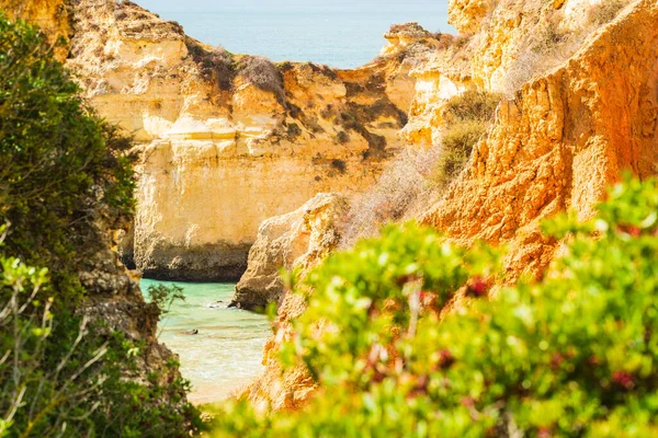 stock image Looking through trees towards sunlit cliff face, Alvor, Algarve, Portugal, Europe