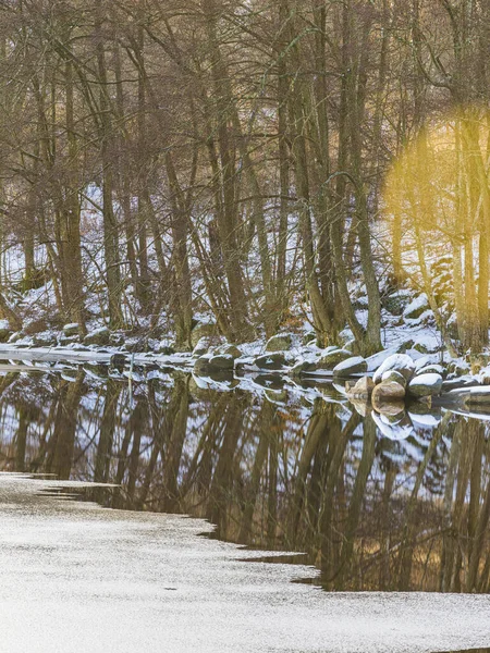 雪に覆われた木々や植物に囲まれた凍った湖で スウェーデンの森の静かな冬のシーン — ストック写真