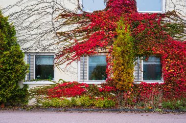 İnşaat cephesinde dağcı fabrikaları