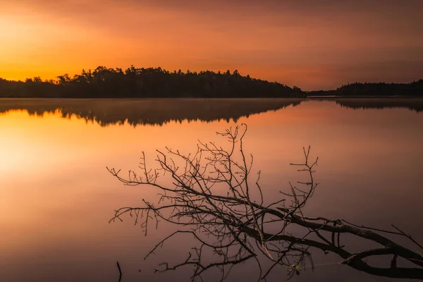 Падшее Дерево Лежало Озере Восходе Солнца — стоковое фото