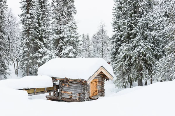 森林里的旧木制积雪覆盖着谷仓 — 图库照片
