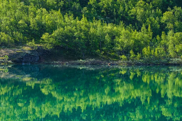 Spiegelung Des Sees Mit Wald — Stockfoto