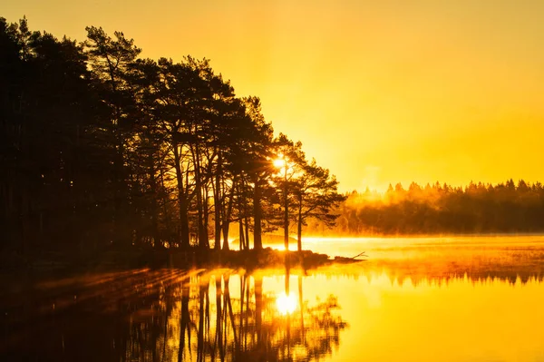 Ruhige Szenerie Eines Idyllischen Schwedischen Sees Der Morgendämmerung Umgeben Von — Stockfoto
