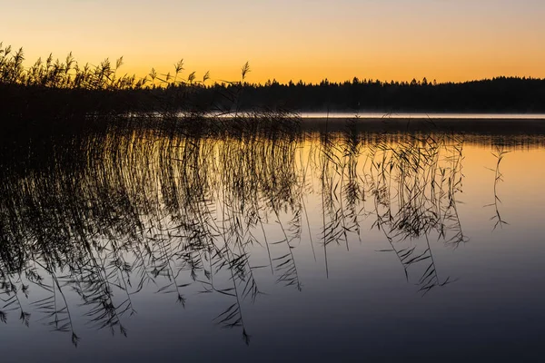 Slunce Pomalu Vychází Nad Jezero Vrhá Klidný Odraz Rákosí Stromy — Stock fotografie