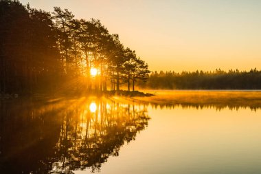 Sis ve güneş ışığının sudan yansıdığı, gün doğumunda İsveç 'te bir orman gölünün huzurlu, huzurlu manzarası..