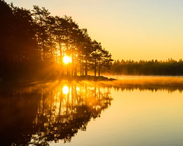Paysage Tranquille Idyllique Lac Forestier Suédois Lever Soleil Avec Brume — Photo