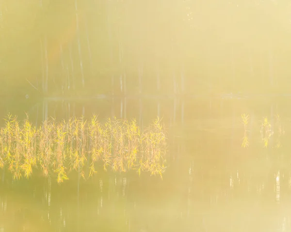 Μια Γαλήνια Λίμνη Στη Σουηδία Αντανακλά Πρωινό Φως Του Ήλιου — Φωτογραφία Αρχείου