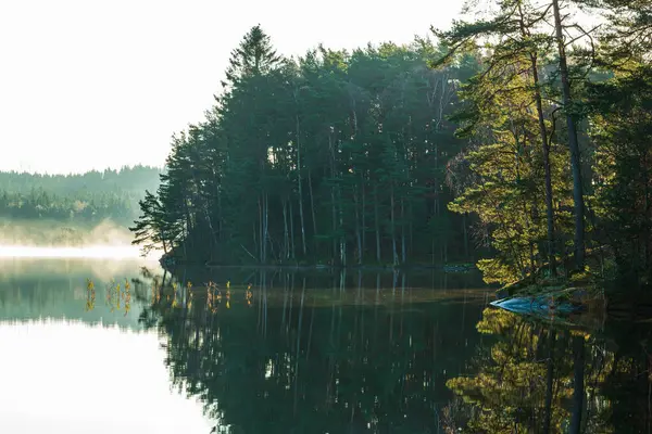 Klidné Jezero Obklopené Bujnými Stromy Odrážející Zamlženou Oblohu Klidných Vodách — Stock fotografie