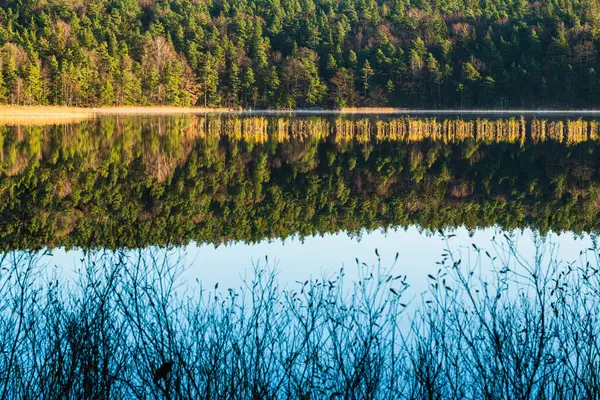 Une Journée Tranquille Dans Forêt Suédoise Lac Reflétant Une Végétation — Photo