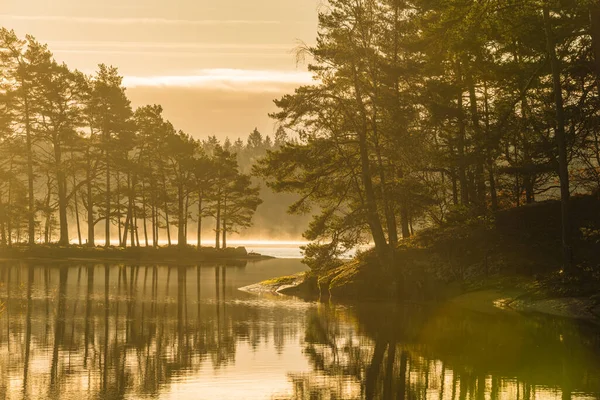 Klidný Východ Slunce Švédském Lese Kde Sluneční Paprsky Odrážejí Jezera — Stock fotografie