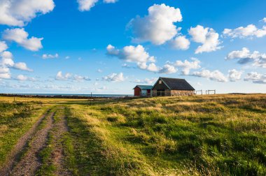 A picturesque rural scene in Sweden, featuring a blue sky and horizon over a rolling hill of grassland, with an old barn nestled among the plants. clipart