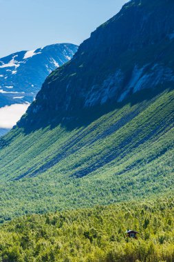 Ormanın ve dağ manzarasının önündeki ahşap kulübe.