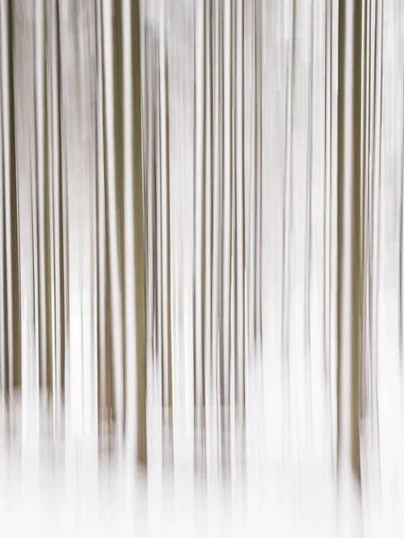 stock image A stunning winter scene of trees, snow and wood captured in a long exposure. The abstract pattern creates an eye-catching interior design backdrop.