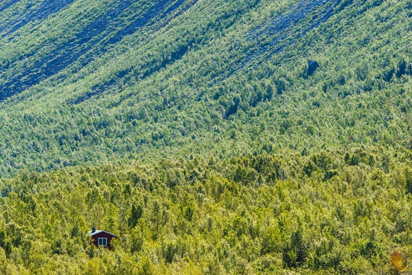 Cabana Solitária Floresta Suécia — Fotografia de Stock