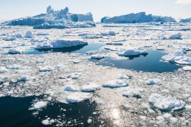 Ilulissat 'taki buzdağları, Grönland' daki buzul fiyortları.