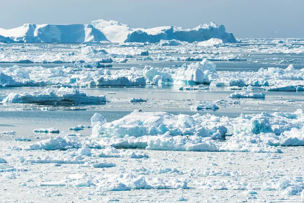 Παγόβουνα Στο Ilulissat Fjord Στη Δυτική Ακτή Της Γροιλανδίας — Φωτογραφία Αρχείου
