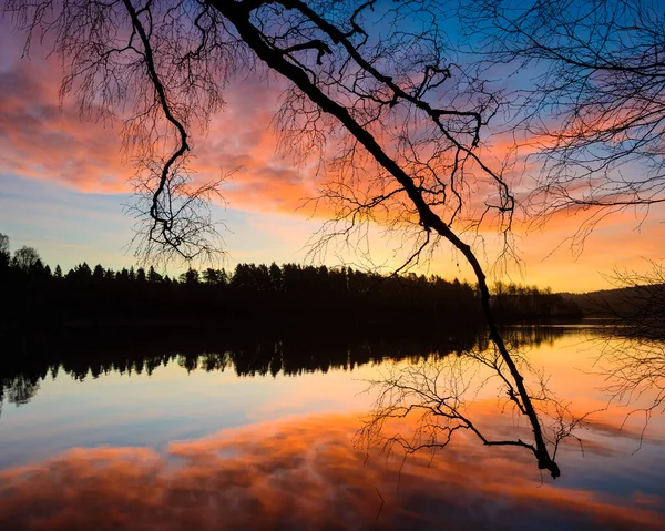 Σιλουέτα Από Κλαδί Δέντρου Μπροστά Από Λίμνη Δραματικό Ουρανό — Φωτογραφία Αρχείου