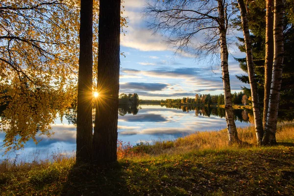 Solen Skiner Genom Trädet Framför Floden Dalarna Sverige — Stockfoto