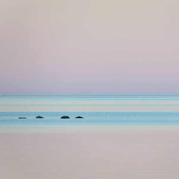 Vanern Gölü Mellerud Vastra Gotaland Sveç Avrupa — Stok fotoğraf