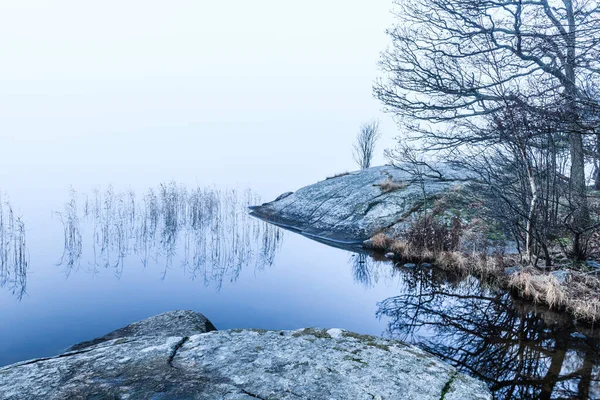 Spokojna Scena Jesienna Szwecji Jeziora Otoczonego Mglistymi Klifami Trzcinami Odzwierciedlająca — Zdjęcie stockowe