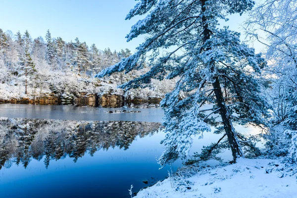 Una Scena Invernale Mozzafiato Tranquillo Lago Circondato Pini Innevati Che — Foto Stock