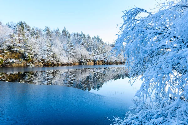 Una Scena Invernale Mozzafiato Tranquillo Lago Circondato Alberi Innevati Che — Foto Stock