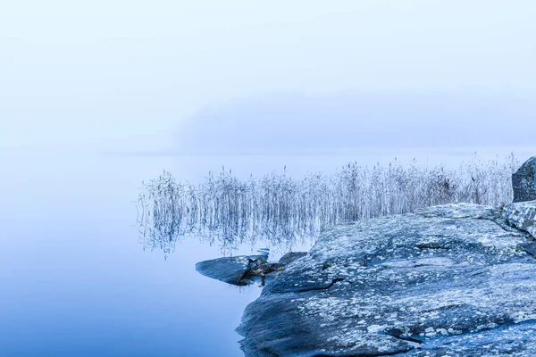 A tranquil autumn scene in Sweden of a lake surrounded by misty cliffs and reeds, reflecting the beauty of nature.