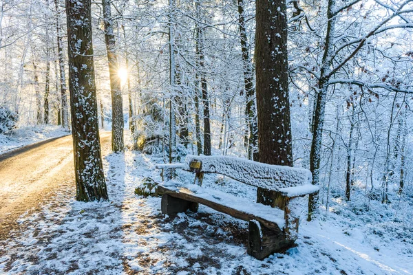 Μια Ήρεμη Χειμωνιάτικη Σκηνή Στο Γκέτεμποργκ Της Σουηδίας Δέντρα Καλυμμένα — Φωτογραφία Αρχείου