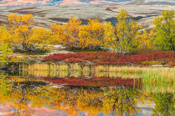 Eine Friedliche Herbstlandschaft Rondane Nationalpark Norwegen Ein Ruhiger See Der — Stockfoto
