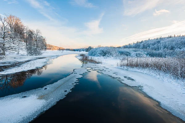 Sveç Huzurlu Bir Kış Sabahı Buzlu Bir Nehir Kozalaklı Çam — Stok fotoğraf