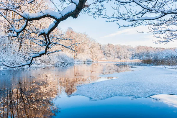 Спокойная Зимняя Сцена Замерзшей Реки Отражающей Ледяное Голубое Небо Окруженная — стоковое фото