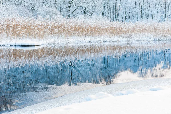 Sakin Bir Kış Manzarası Karla Kaplı Bir Nehir Sükunet Içinde — Stok fotoğraf