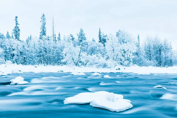 Maravilla Invernal Congelada Árboles Cubiertos Nieve Largo Río Tranquilo Revelando —  Fotos de Stock