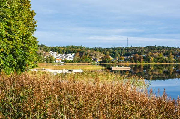 stock image A peaceful lake in Sweden surrounded by lush trees and reeds, creating a tranquil environment of stunning natural beauty.