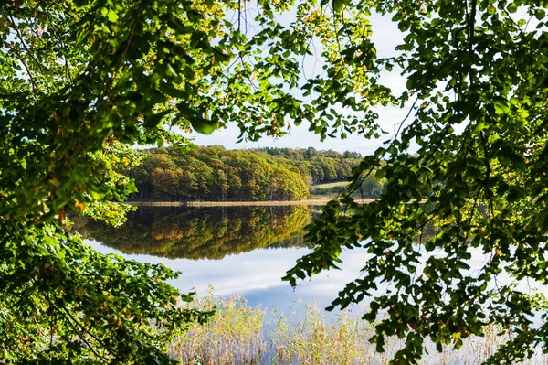 A peaceful, tranquil scene of a still lake surrounded by lush green woodland and trees, with the reflection of natures beauty creating an idyllic view.