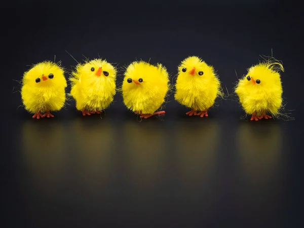 Una Fila Pollitos Amarillos Esponjosos Dispuestos Para Decoración Pascua Estudio —  Fotos de Stock