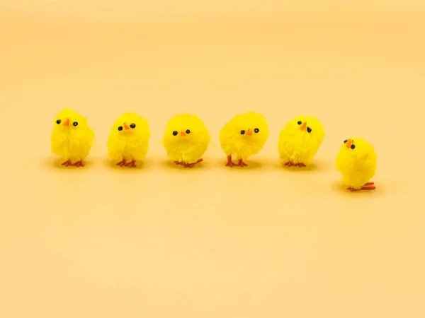 Puszyste Żółte Kurczaki Zaaranżowane Dekoracji Wielkanocnej Studio Idealny Temat Makro — Zdjęcie stockowe