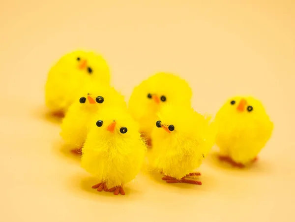 Puszyste Żółte Kurczaki Zaaranżowane Dekoracji Wielkanocnej Studio Idealny Temat Makro — Zdjęcie stockowe